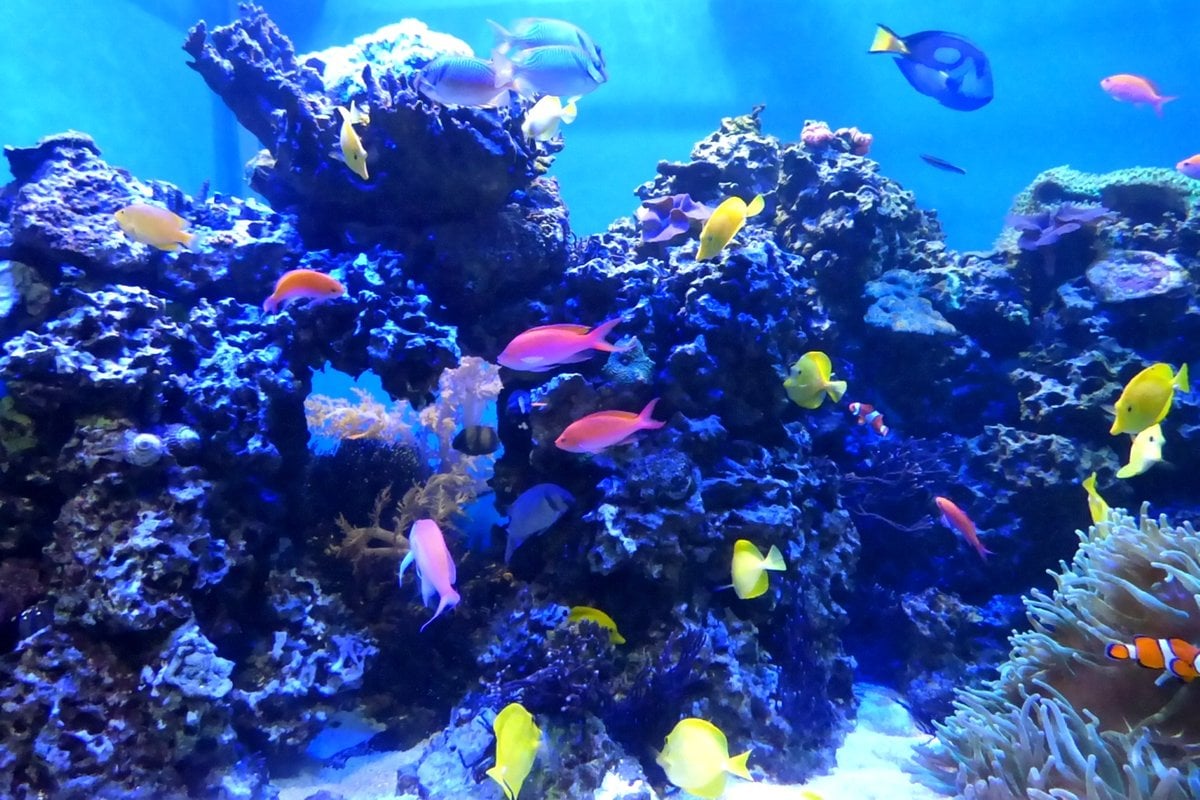 Point Defiance Zoo & Aquarium - Gallery Image 1